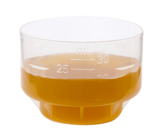 Salus Floradix Magnesium 250ML