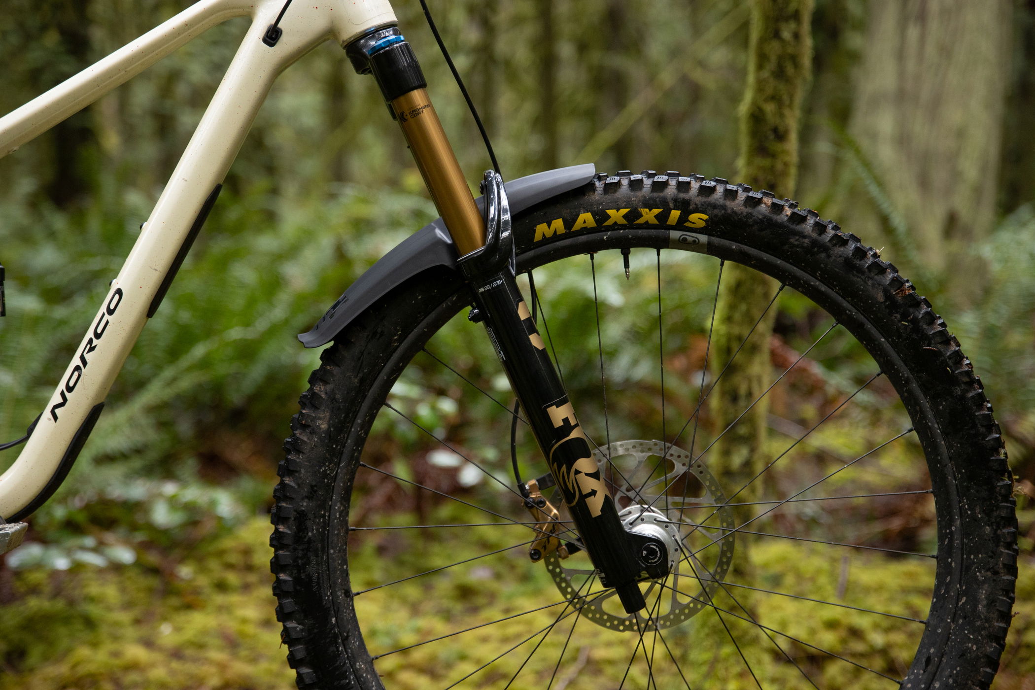 Fox Racing Shox Fox float 36 Factory E-optim. 29
