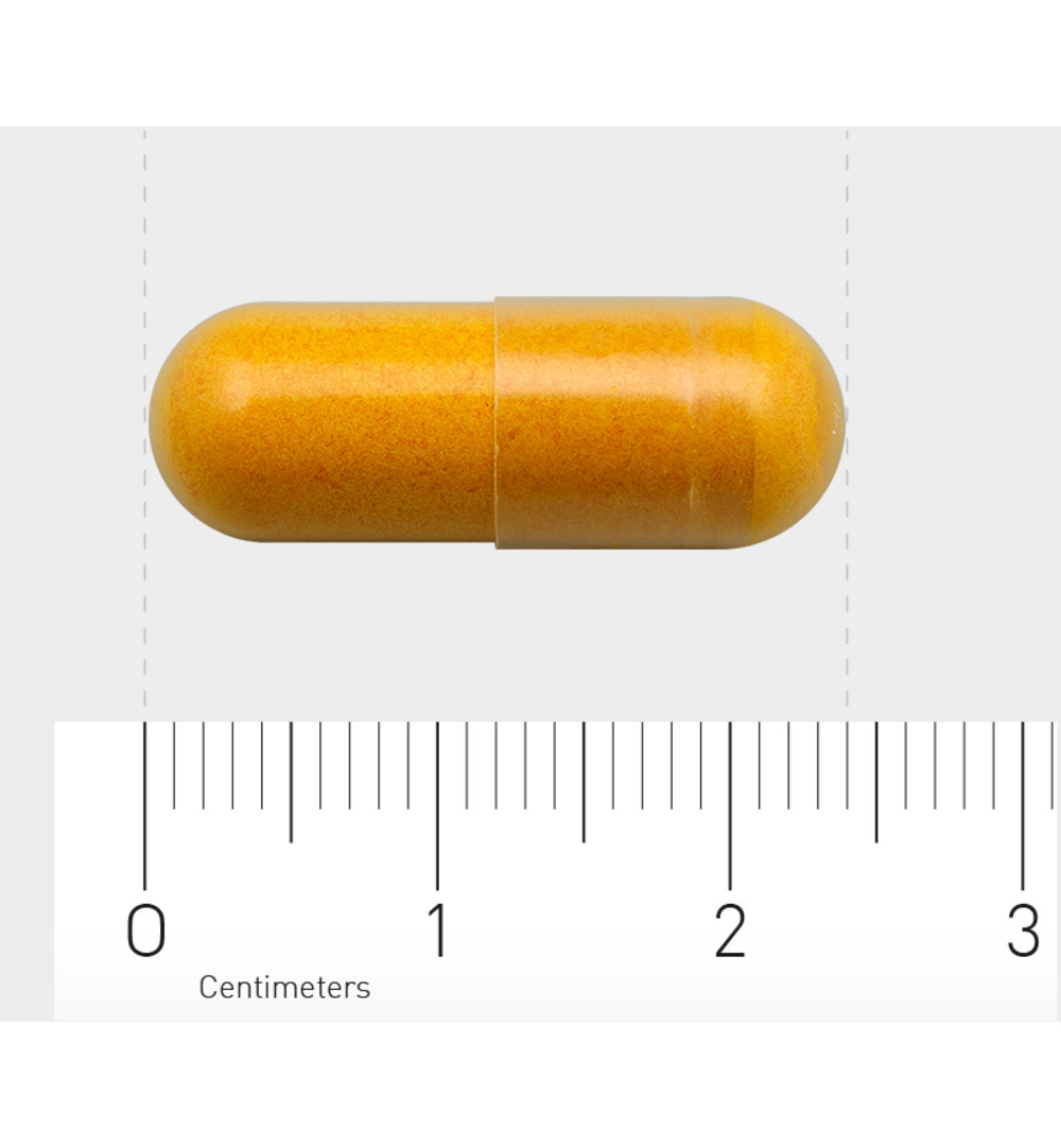 Orthica Curcuma (60 capsules)