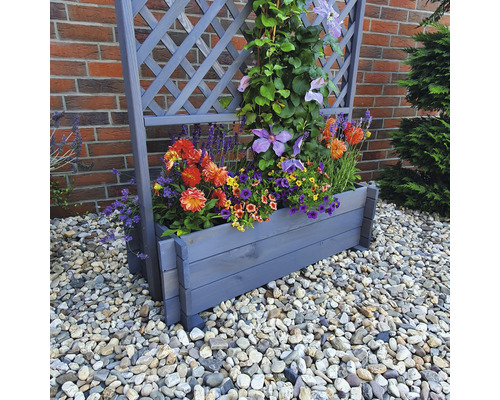 Houten trellisbak met pergola 102 x 65 x 200 cm grijs