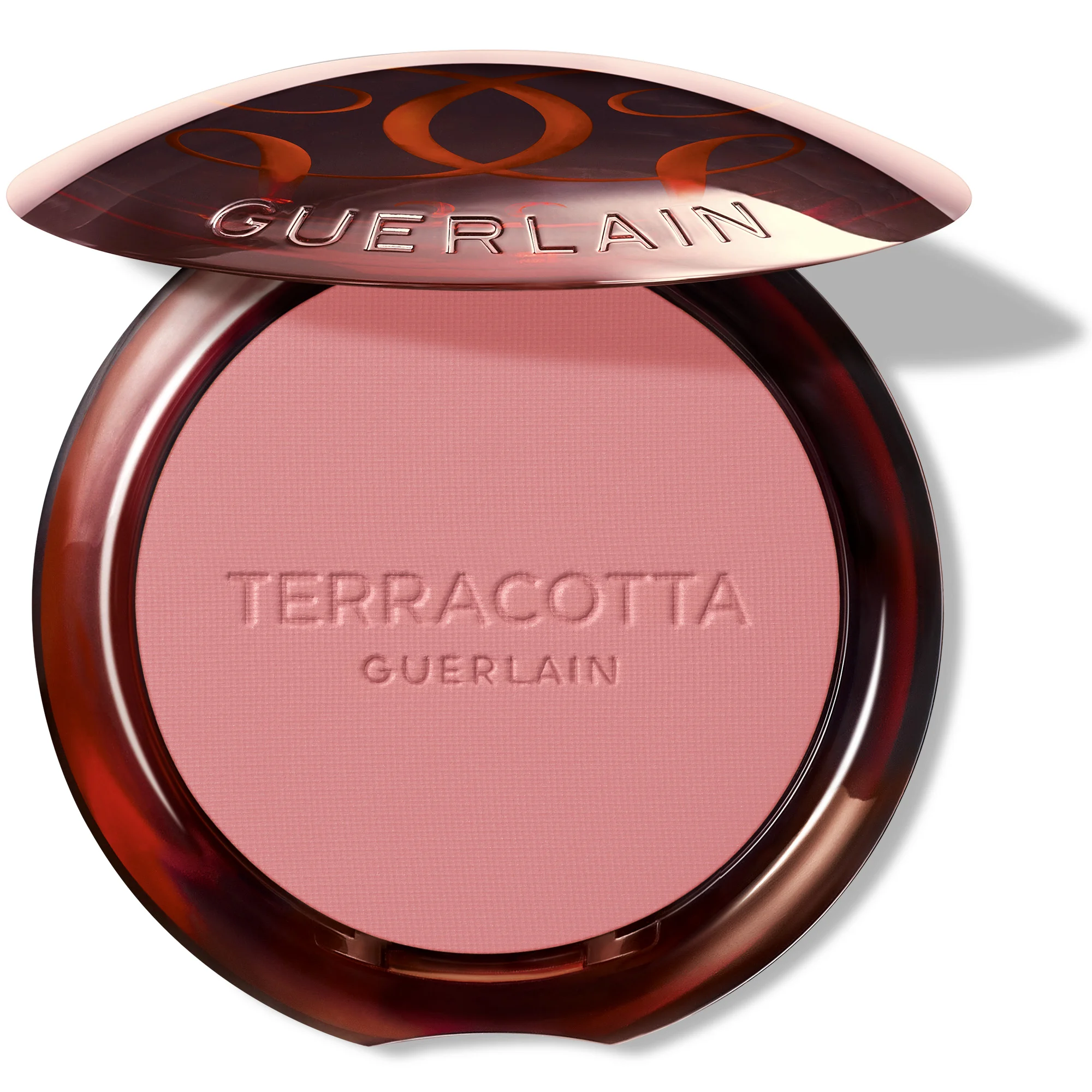 TERRACOTTA BLUSH Le fard à joues effet bonne mine |- 01 Rose Clair