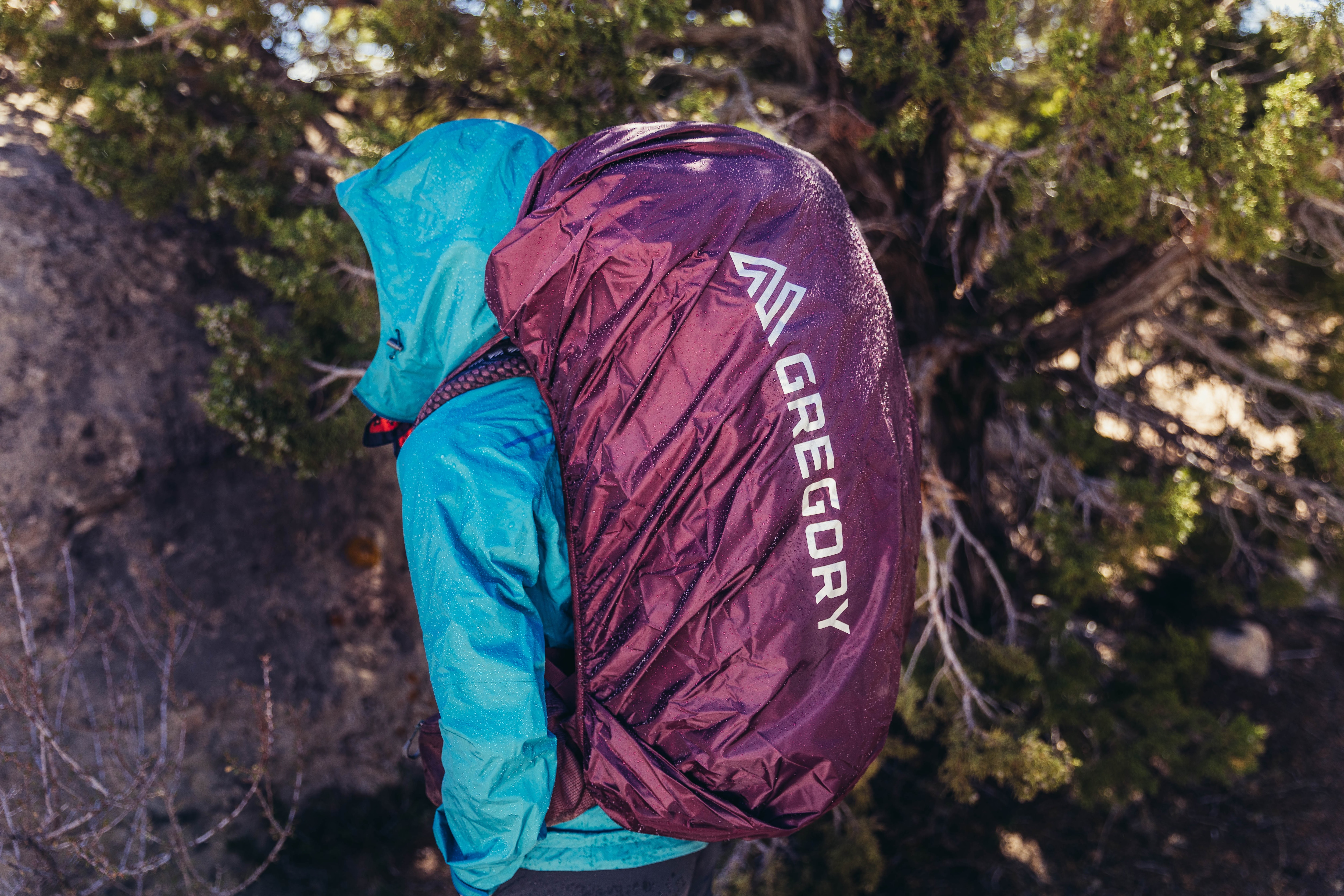 Gregory Deva 70L<br>Langtursekk Dame, ny utgave!