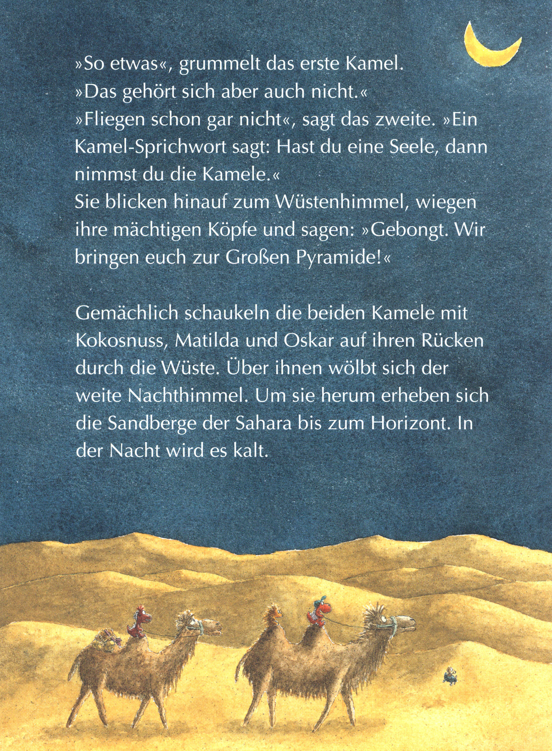 Der kleine Drache Kokosnuss und das Geheimnis der Mumie / Die Abenteuer des kleinen Drachen Kokosnuss Bd.13