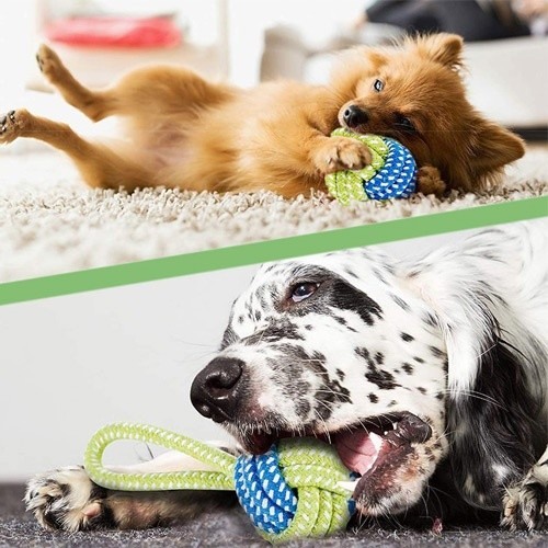 Conjunto de brinquedos de corda verde para cães