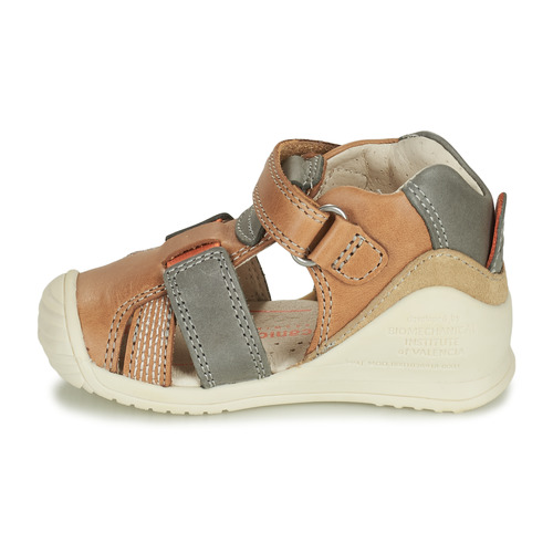 Biomecanics - 212135 - Cognac