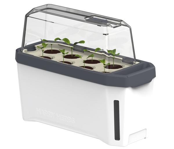 Gusta Garden Kräutertopf Harry Herbs mit