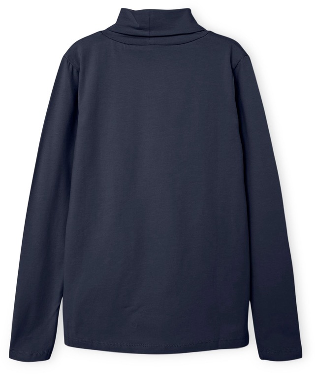 Name It Rollkragenshirt »NKNVIGGO 2P LS SLIM ROLLNECK O NOOS«, 2 Stk.