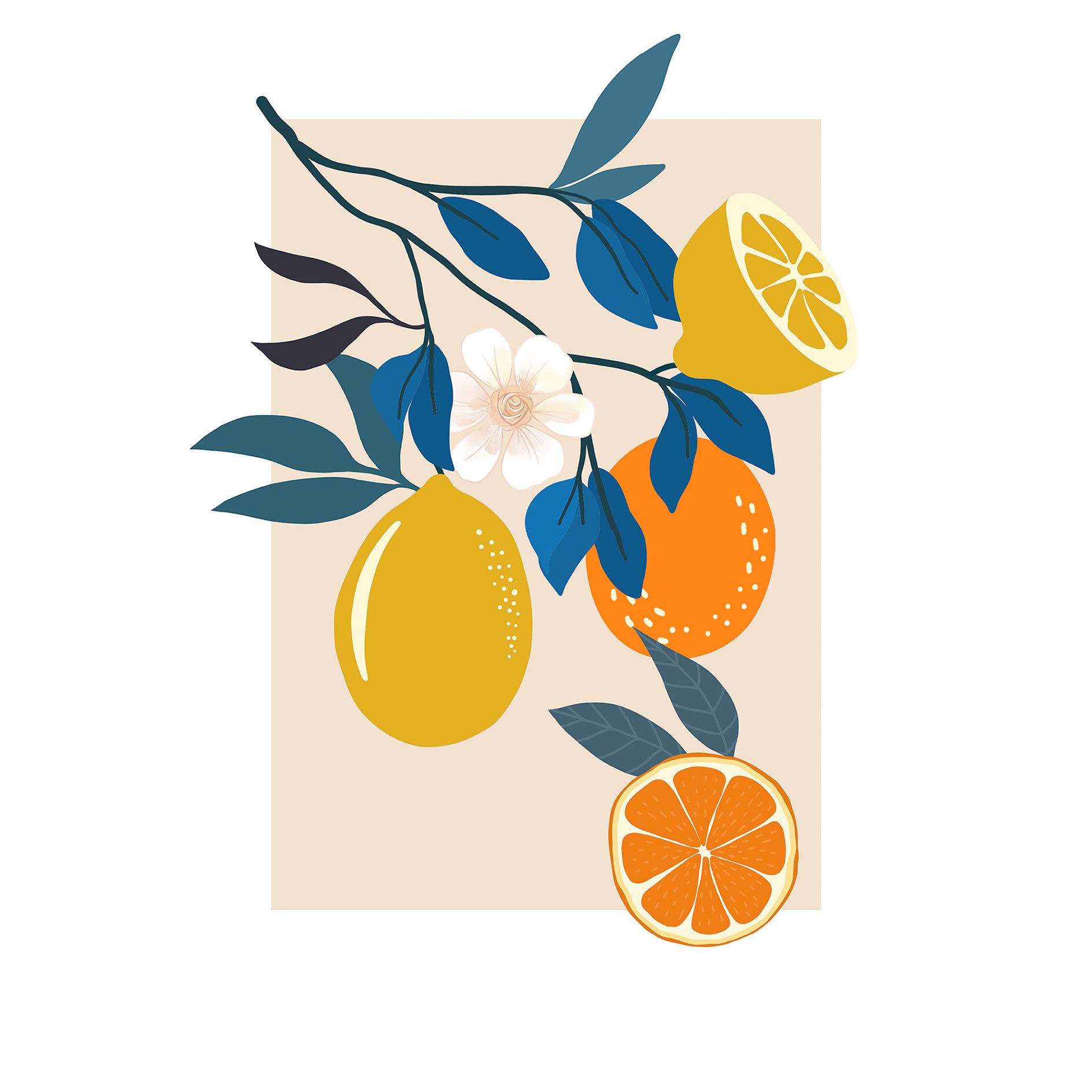 Wandbild ILLUSTRATION FINEST FRUITS - 50x70 cm