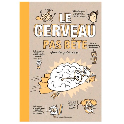 Le cerveau pas bête