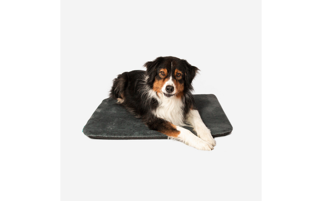 Manuly Hundematte selbstaufblasende Hundedecke