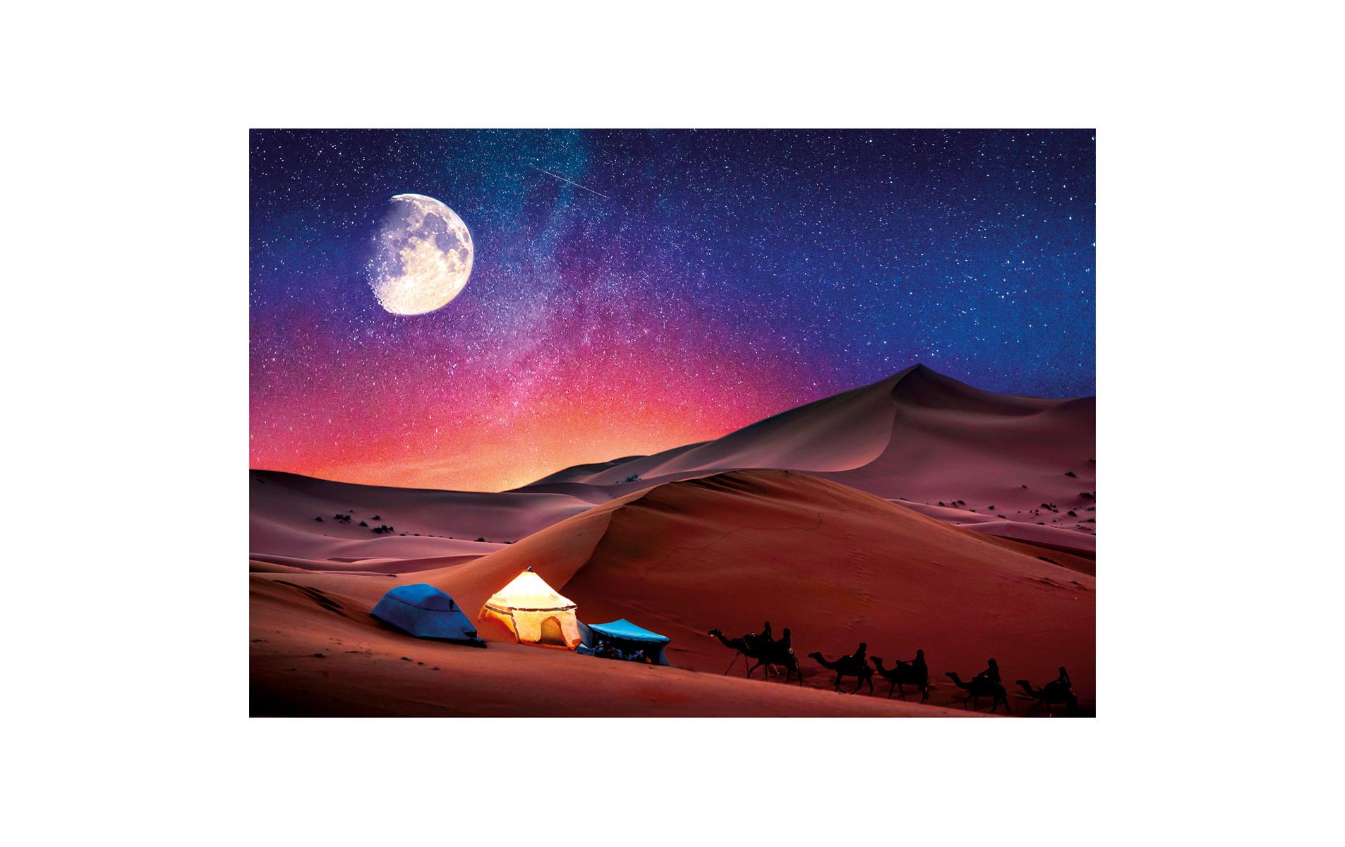 Puzzle Sternennachtstraum 500tlg.Entspannendes Puzzle-Erlebnis