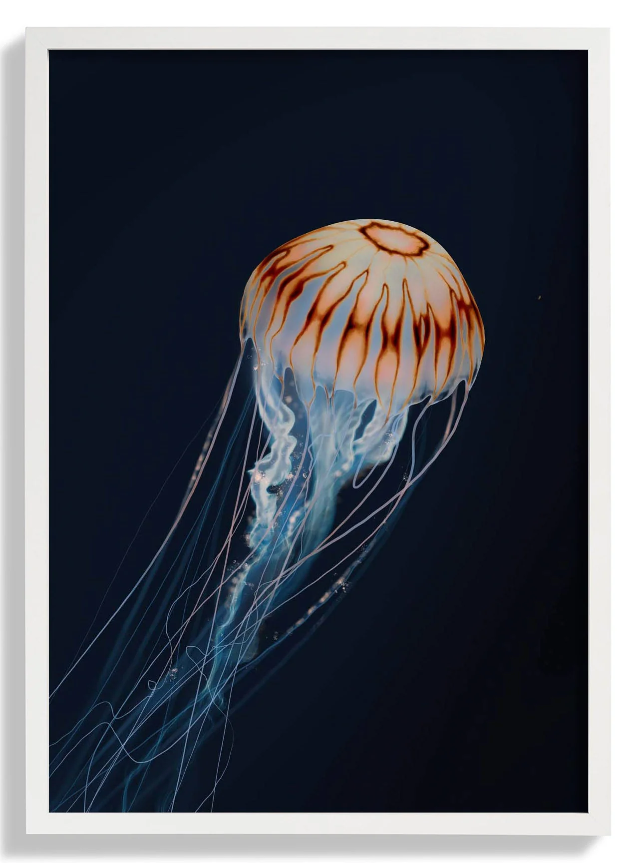 Sparkling Horizon Jellyfish von Julia Charlott