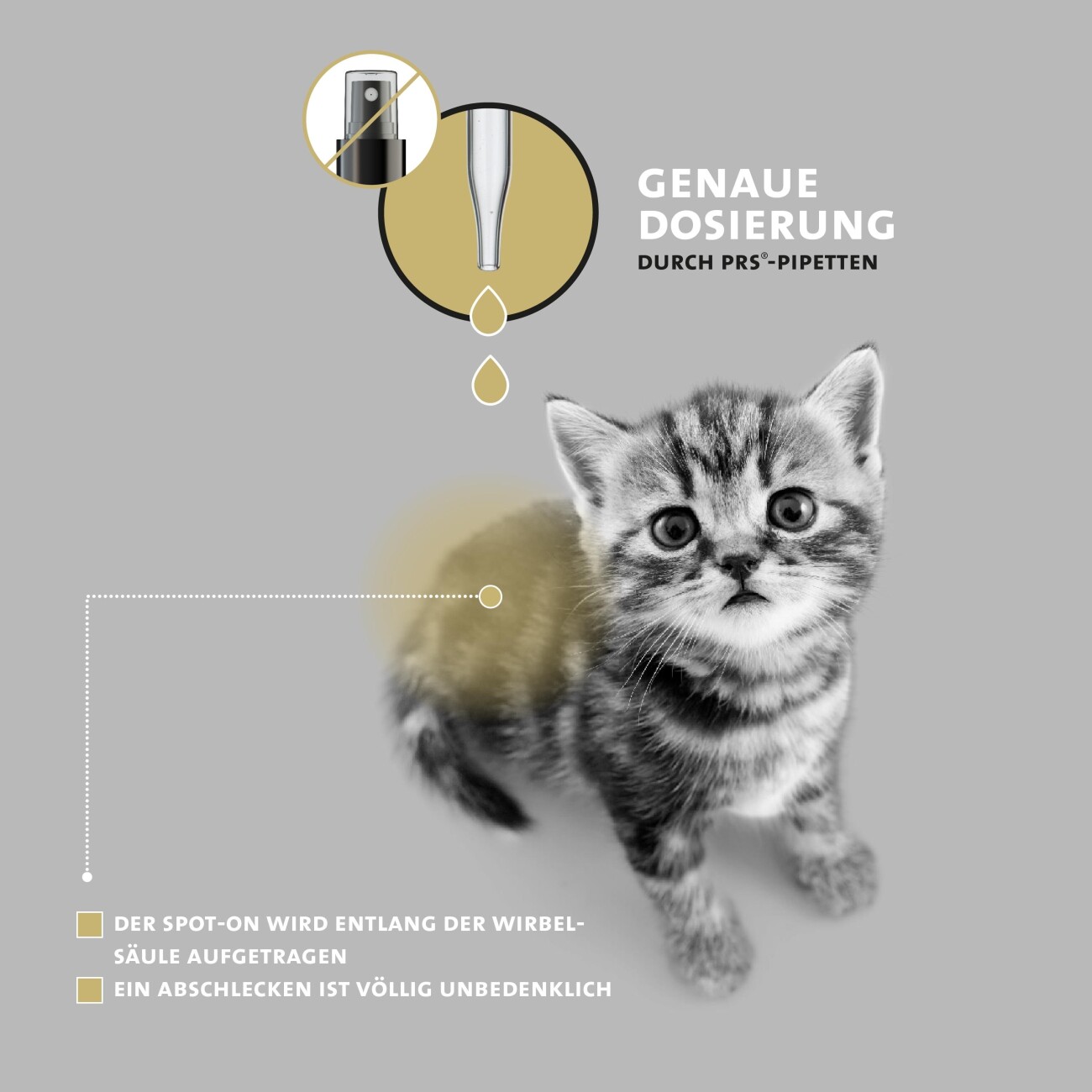 Peticare Zecken-Schutz Mittel für Katzen, Spot-On auf pflanzlicher Basis