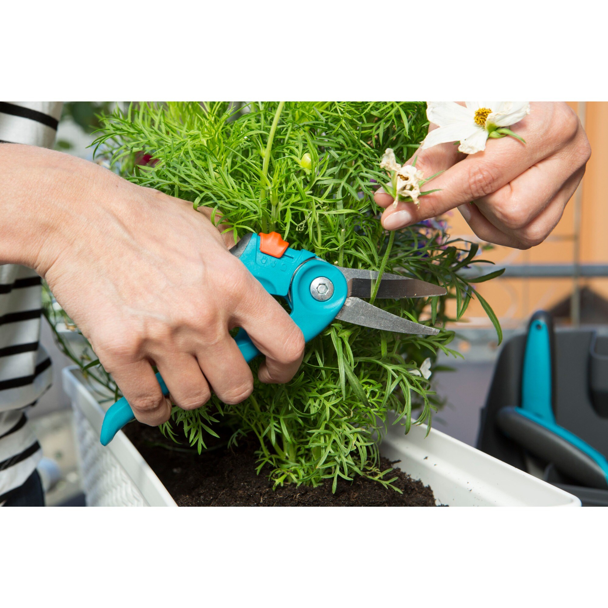 GARDENA Gartenschere city gardening Balkonschere (8707-20)