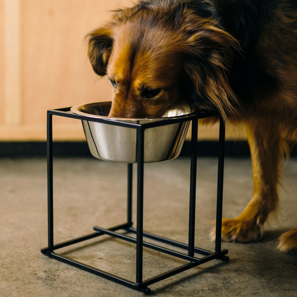 Arum - gamelle surélevée pour grand chien en acier, socle design métal noir