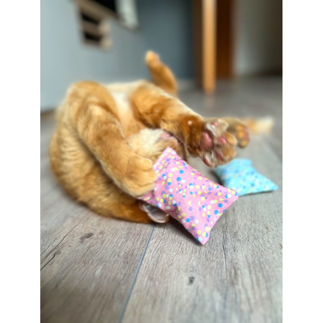 AniOne Celebration Schmusekissen Katzenminze