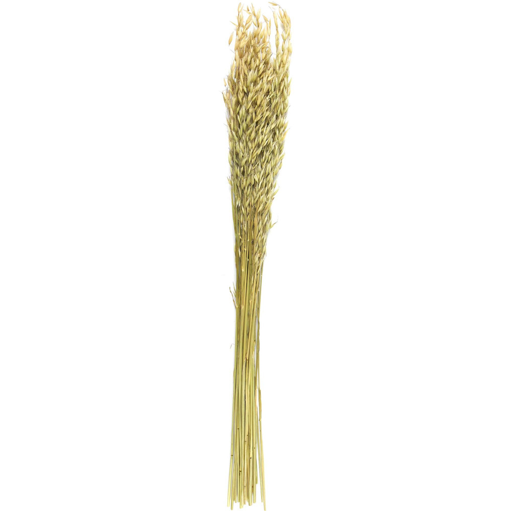 Bouquet de fleur séchée 75 cm (lot de 2)