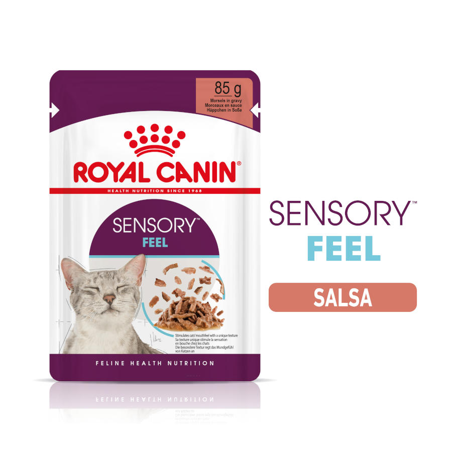 Molho Royal Canin Adult Sensory Feel para Gatos