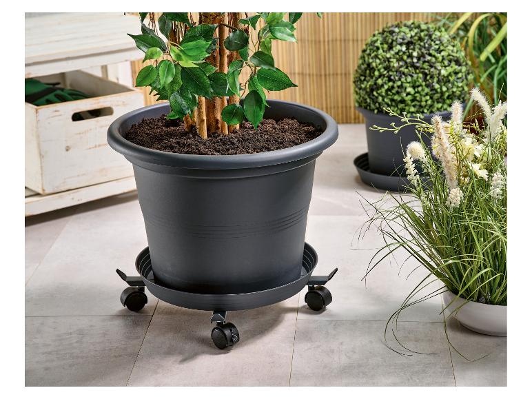 Plantenonderzetter