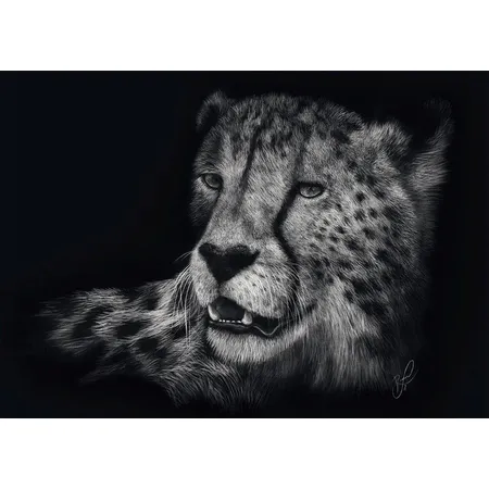 Schmidt Spiele Puzzle - Speed, Gepard, Im Zeichen der Anmut, 1000 Teile