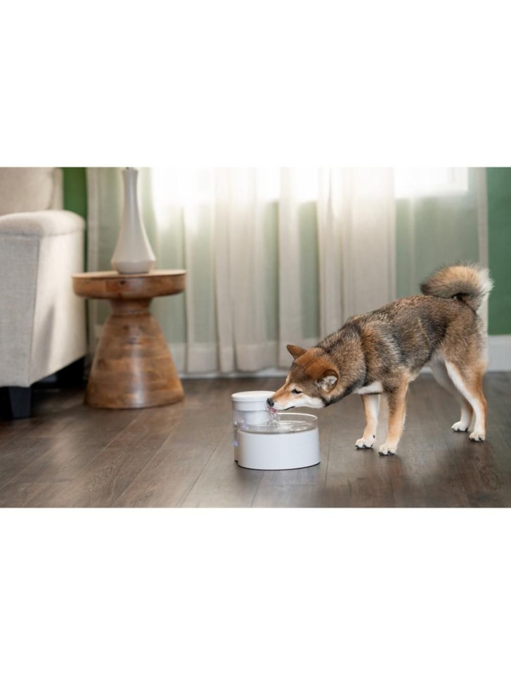 Petsafe - Outlast 1,7L vand fontæne til katte uden pumpe - virker med centrifugal kraften - nem rengøring