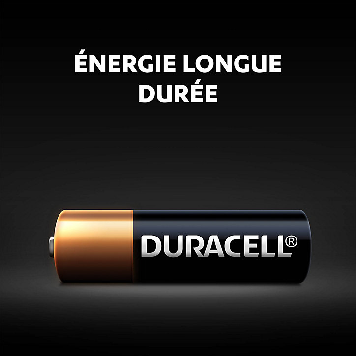 Pile alcaline MN21 Duracell, lot de 2