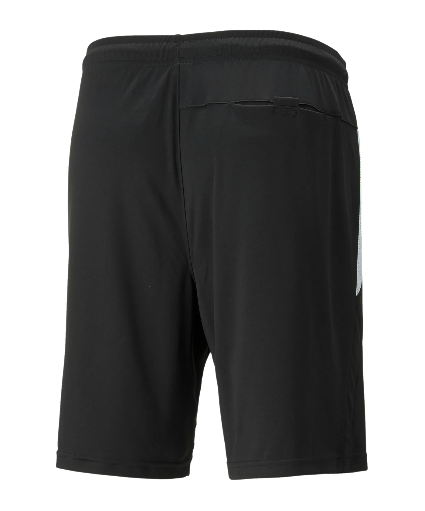 PUMA teamLIGA Referee shorts black F03