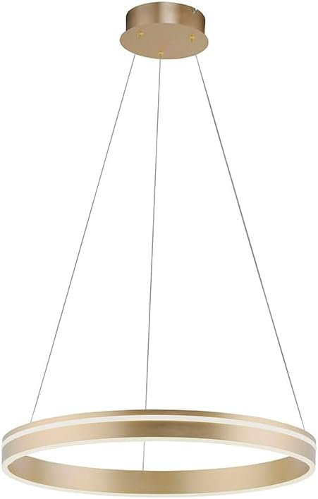 Paul Neuhaus Q-VITO LED Pendelleuchte, Works with Alexa – Smart Home, Fernbedienung CCT warmeiß – kaltweiß (59cm Messing)