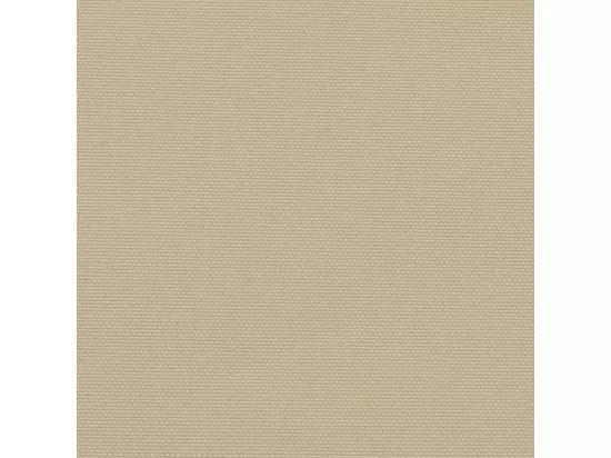 Auvent latéral rétractable beige 100x600 cm