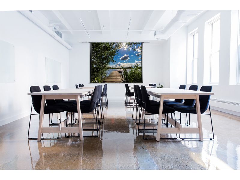 Celexon Deckeinbauleinwand Motor Professional Plus 300x225c Elektrische Deckeneinbau Leinwand