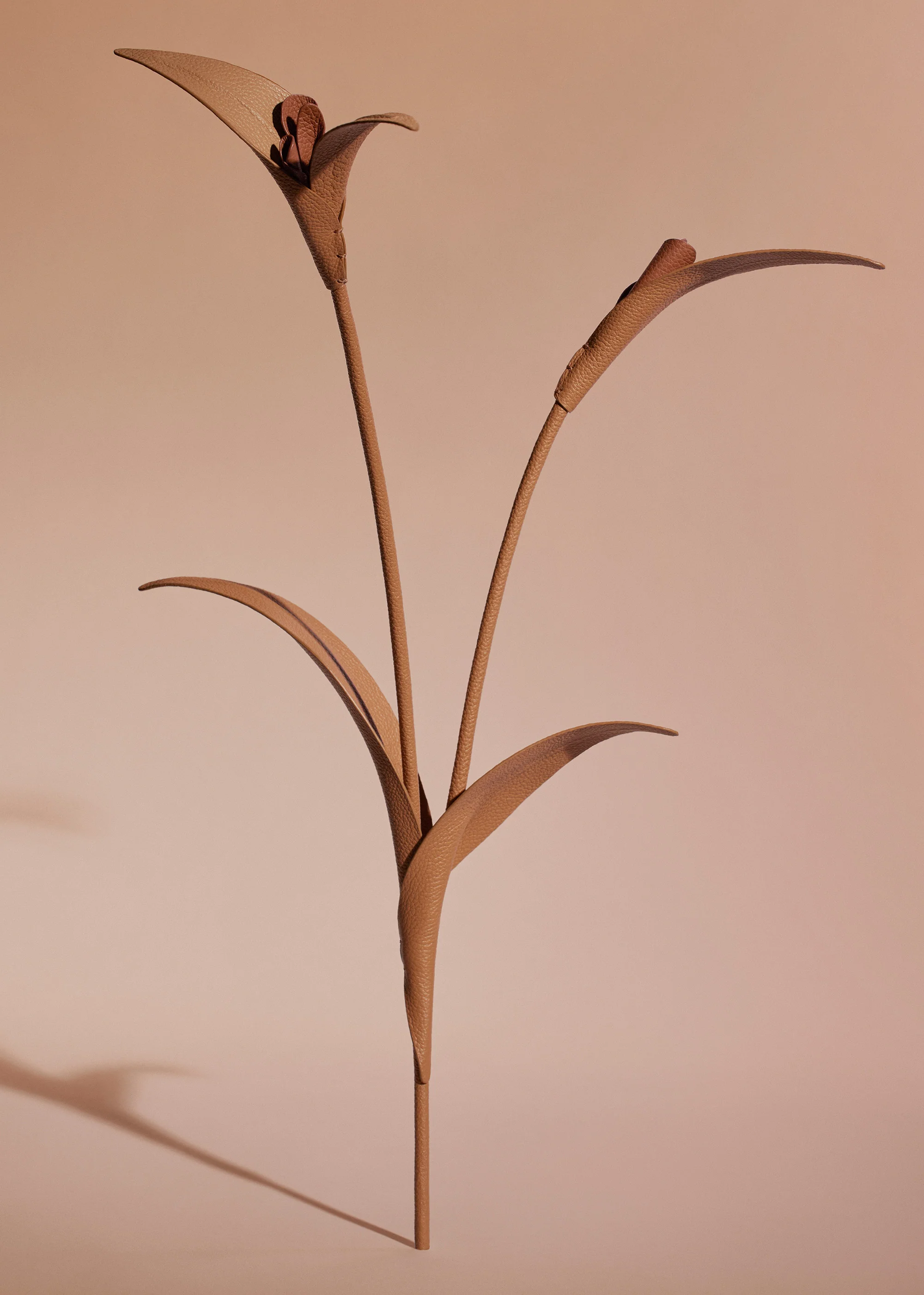 Fleur Touka - Trio Tan Grainé