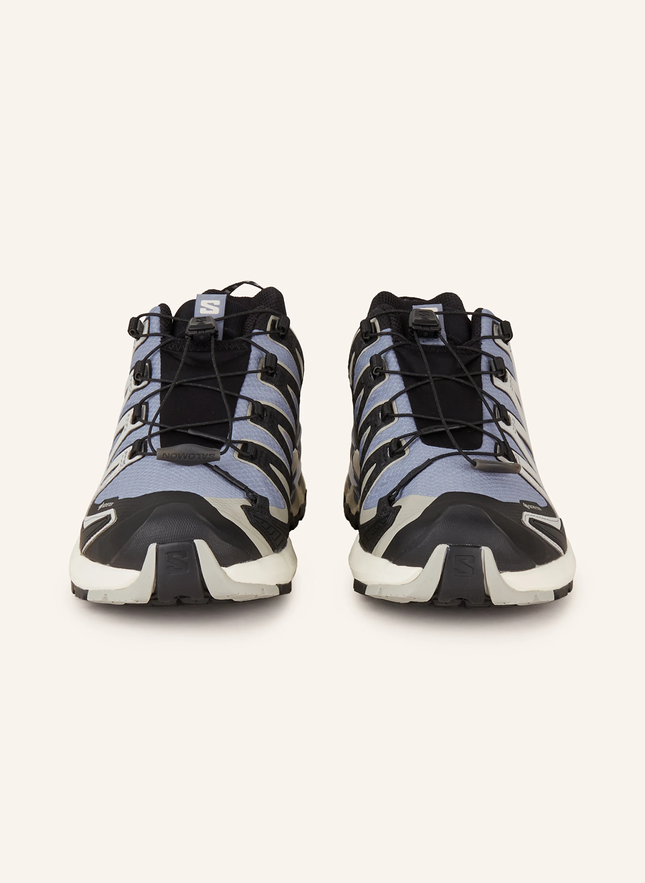 SALOMON Wanderschuhe XA PRO 3D V9 GTX