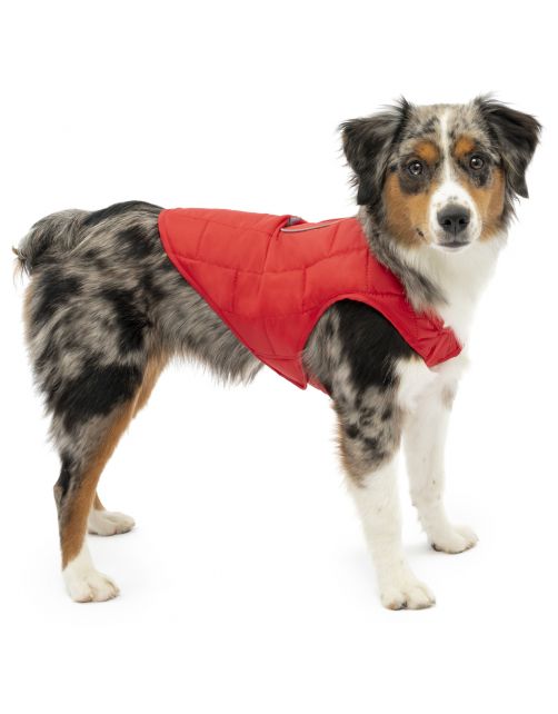 Kurgo Loft Jacket Rood&Antraciet - Hondenjas