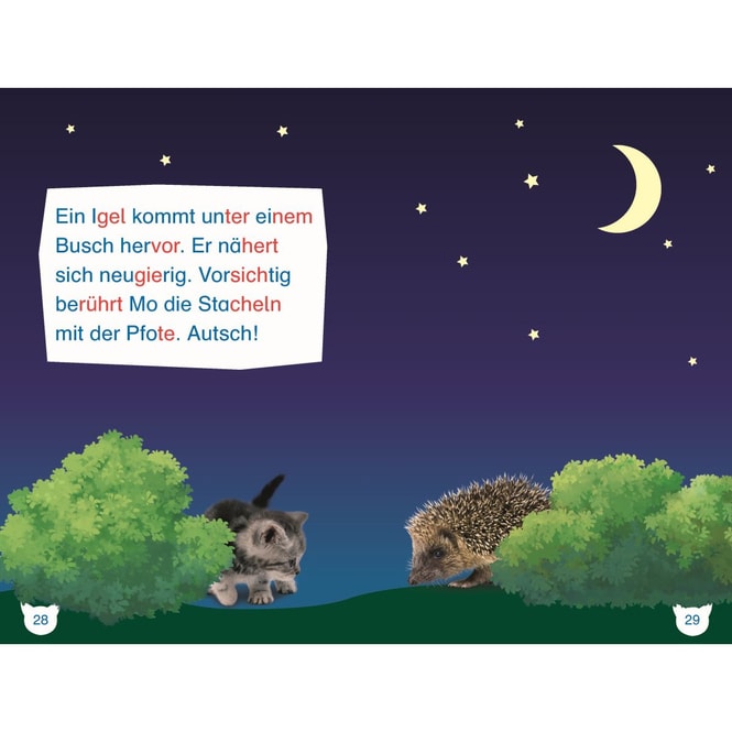 SUPERLESER! - Ein aufregender Tag für Kater Mo - Sach-Geschichten für Erstleser
