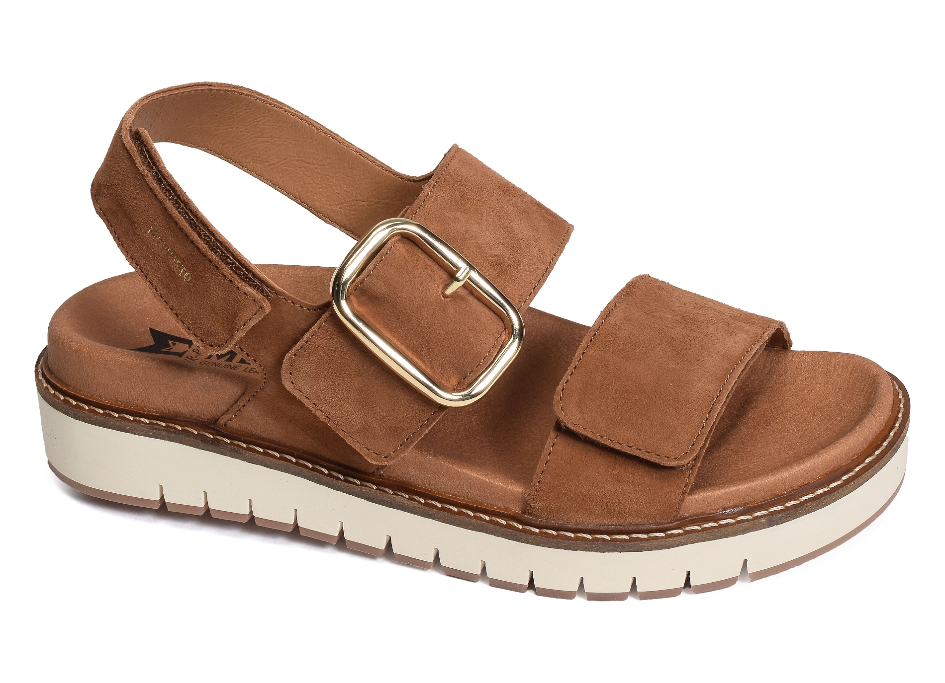 Belona camel