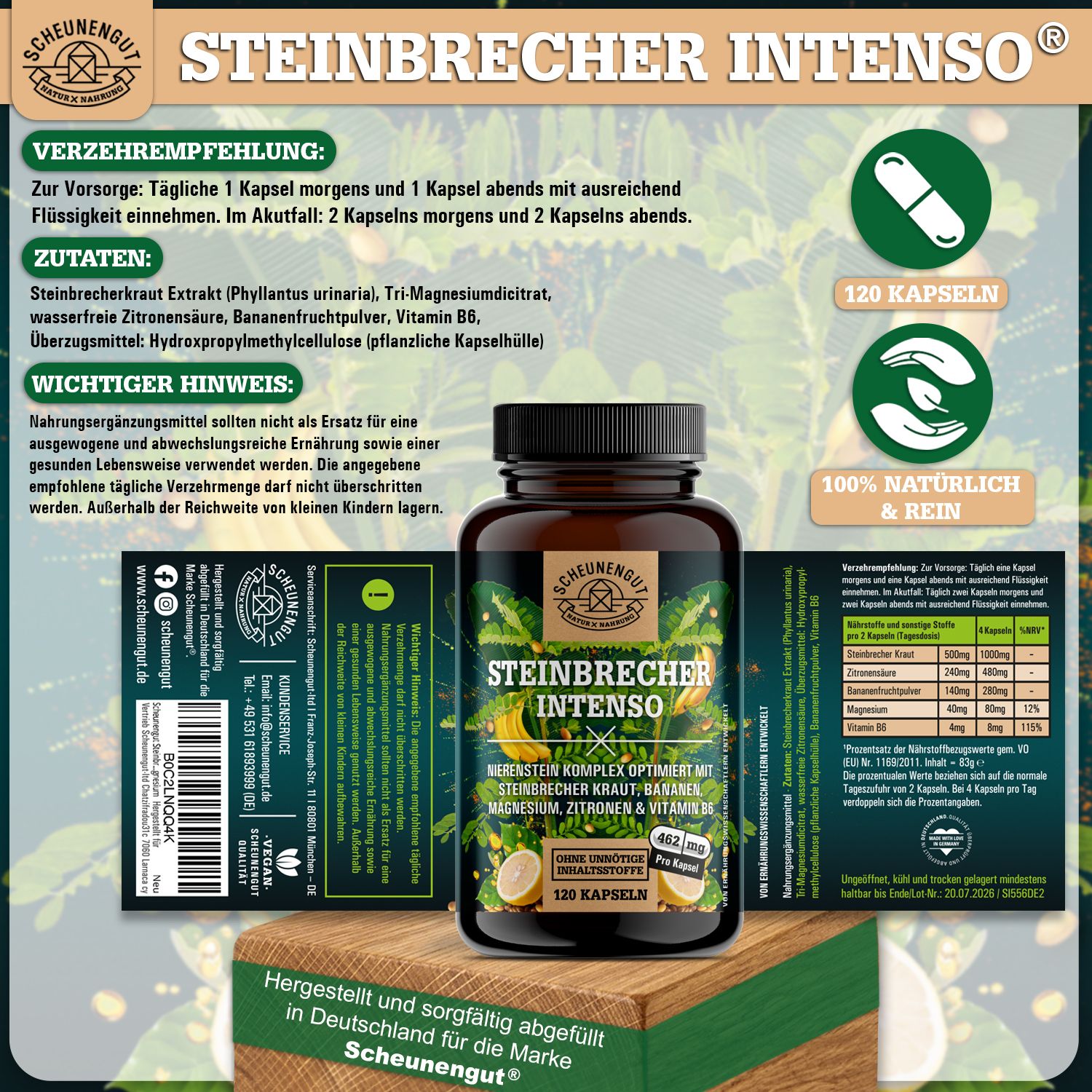 Scheunengut® Steinbrecher Intenso | Die Original Nierenstein-Formel aus der TCM | Chanca Piedra