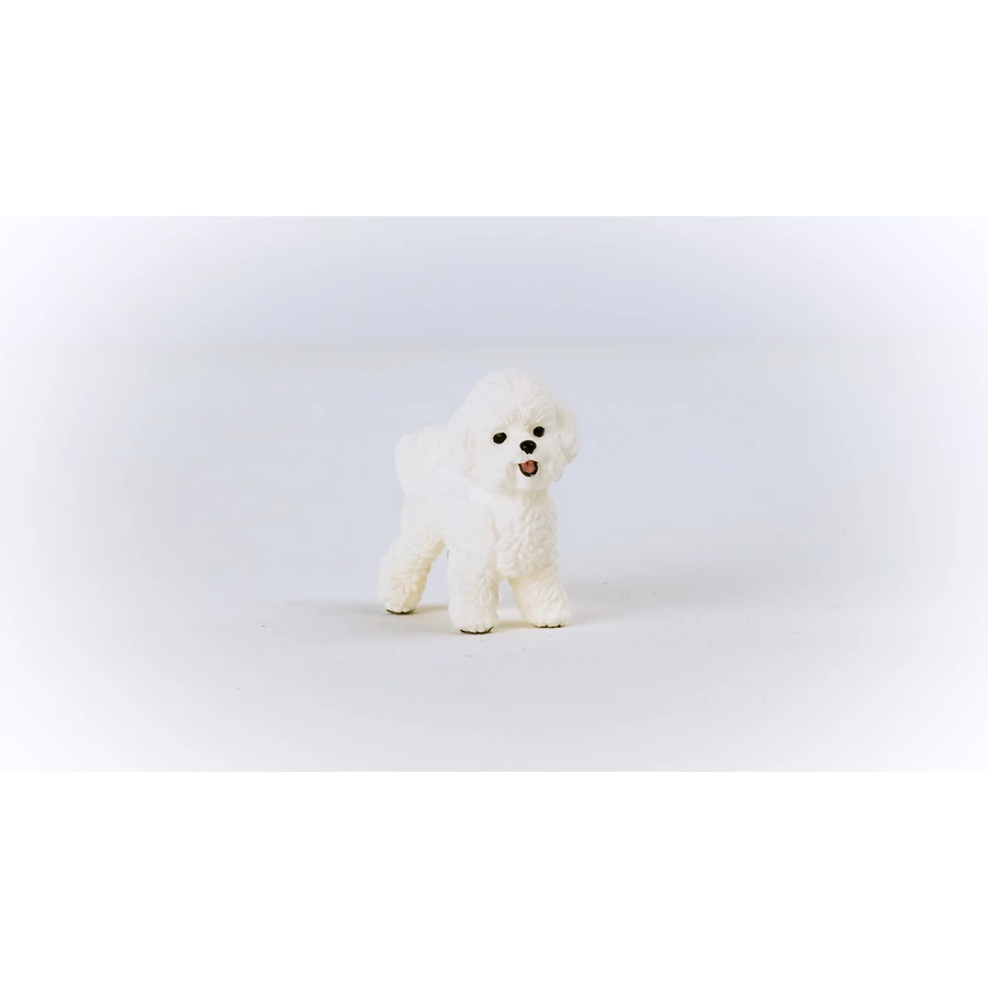 schleich® Bichon Frisé 13963
