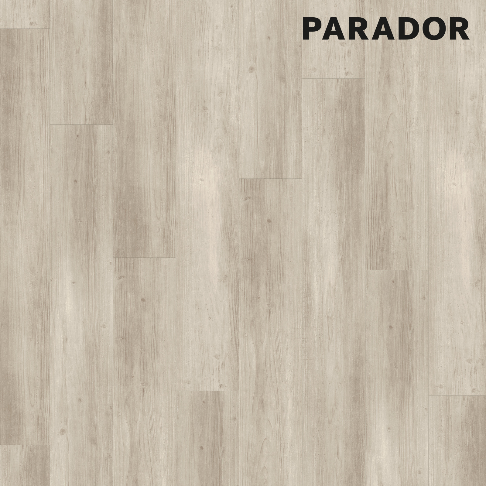PARADOR Designboden MODULAR ONE - Pinie rustikal grau - 8 mm