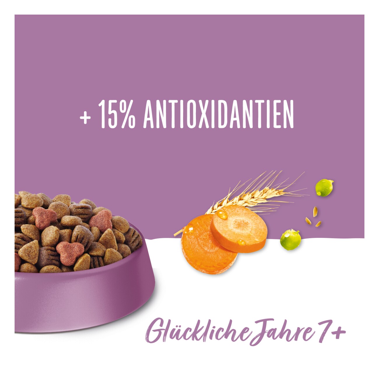 Beneful Purina Trockenfutter Hund, Senior, Glückliche Jahre 7+, Huhn und Gartengemüse 12 kg