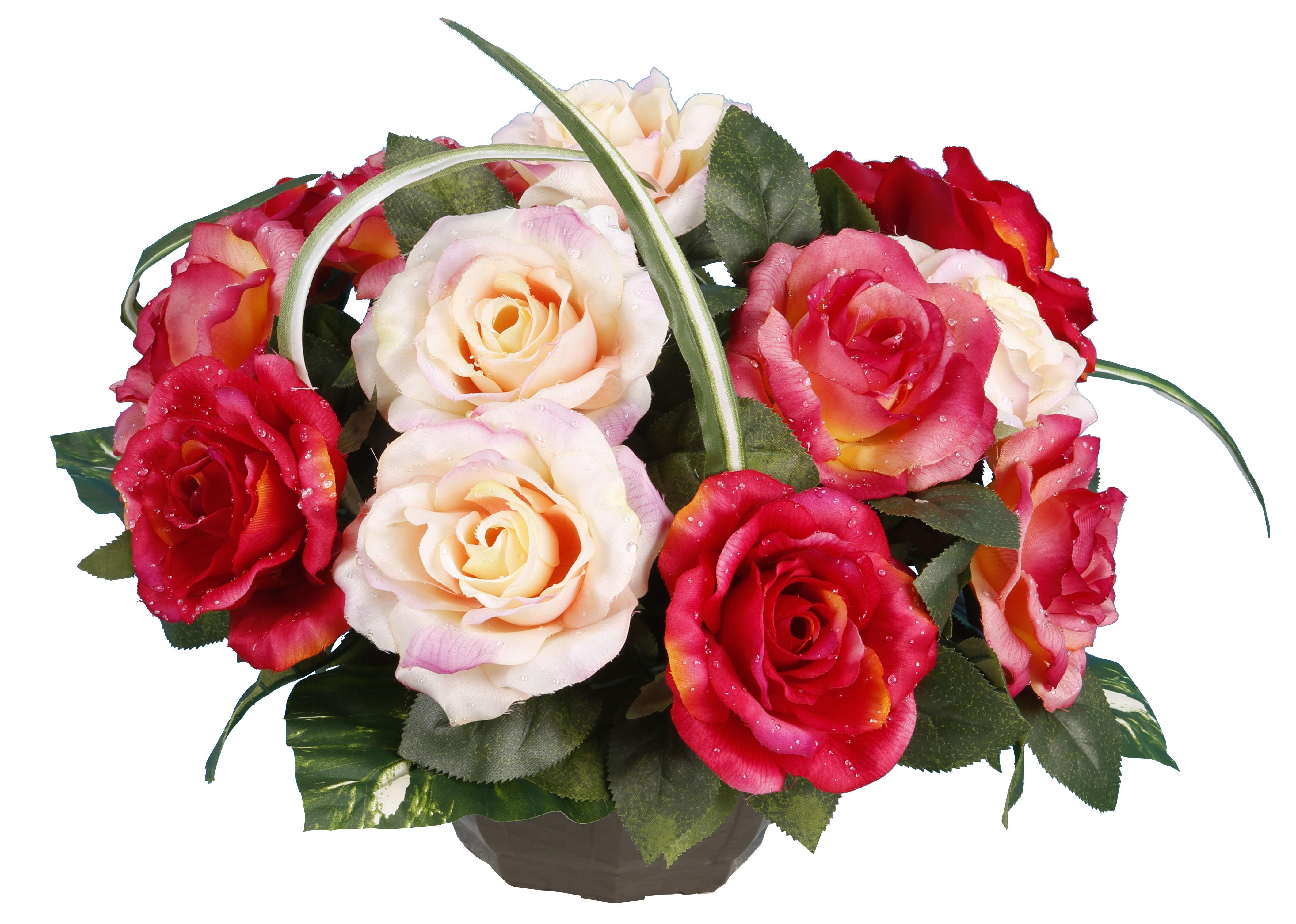 COUPE ROSE GOUTTES EAU
