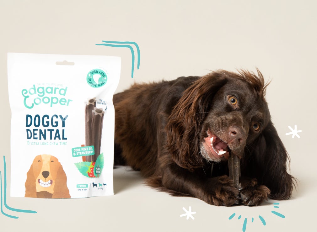 Edgard & Cooper kauwsticks Doggy Dental muntolie en aardbei M 7 stuks