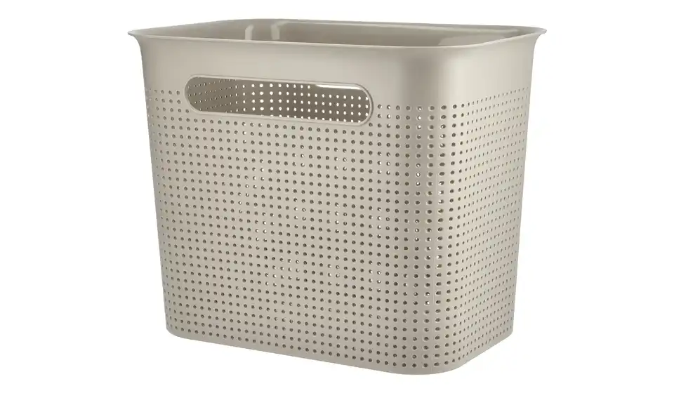 Rotho Aufbewahrungsbox 26 cm