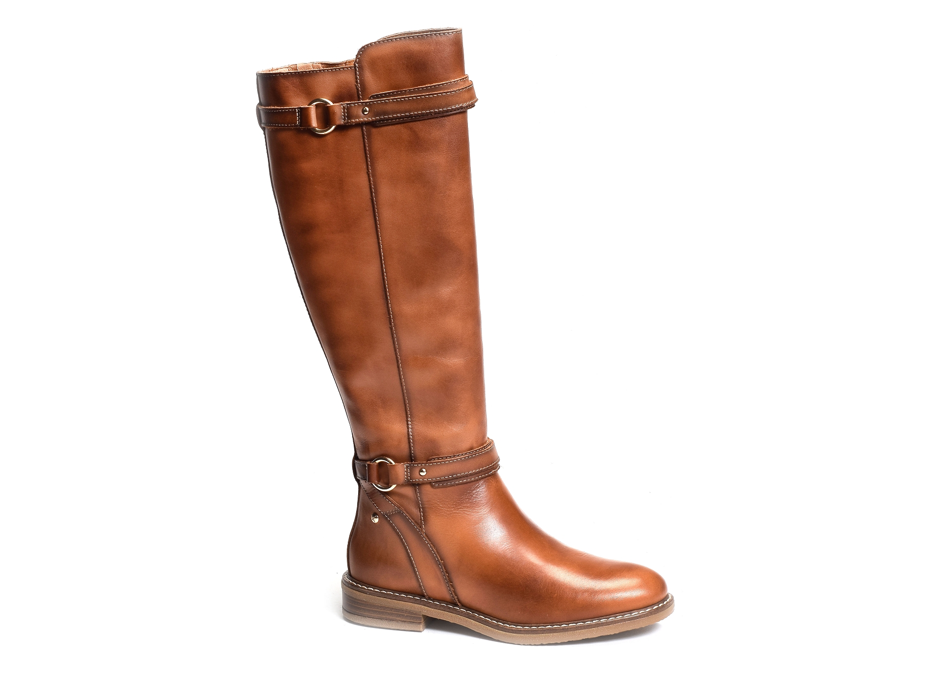Aldaya 9562 camel