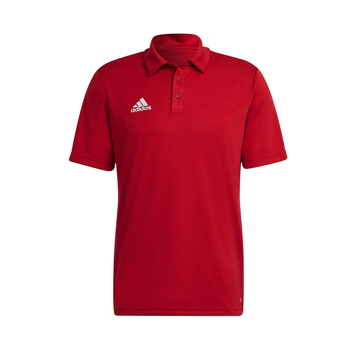 Polo adidas Entrada 22 m/c Criança