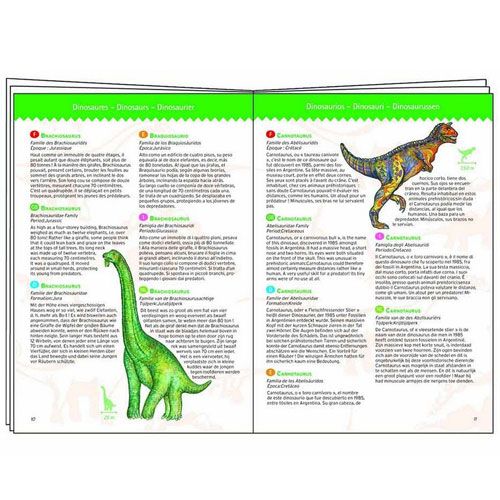 Djeco puzzel observation dinosaurussen (100st)