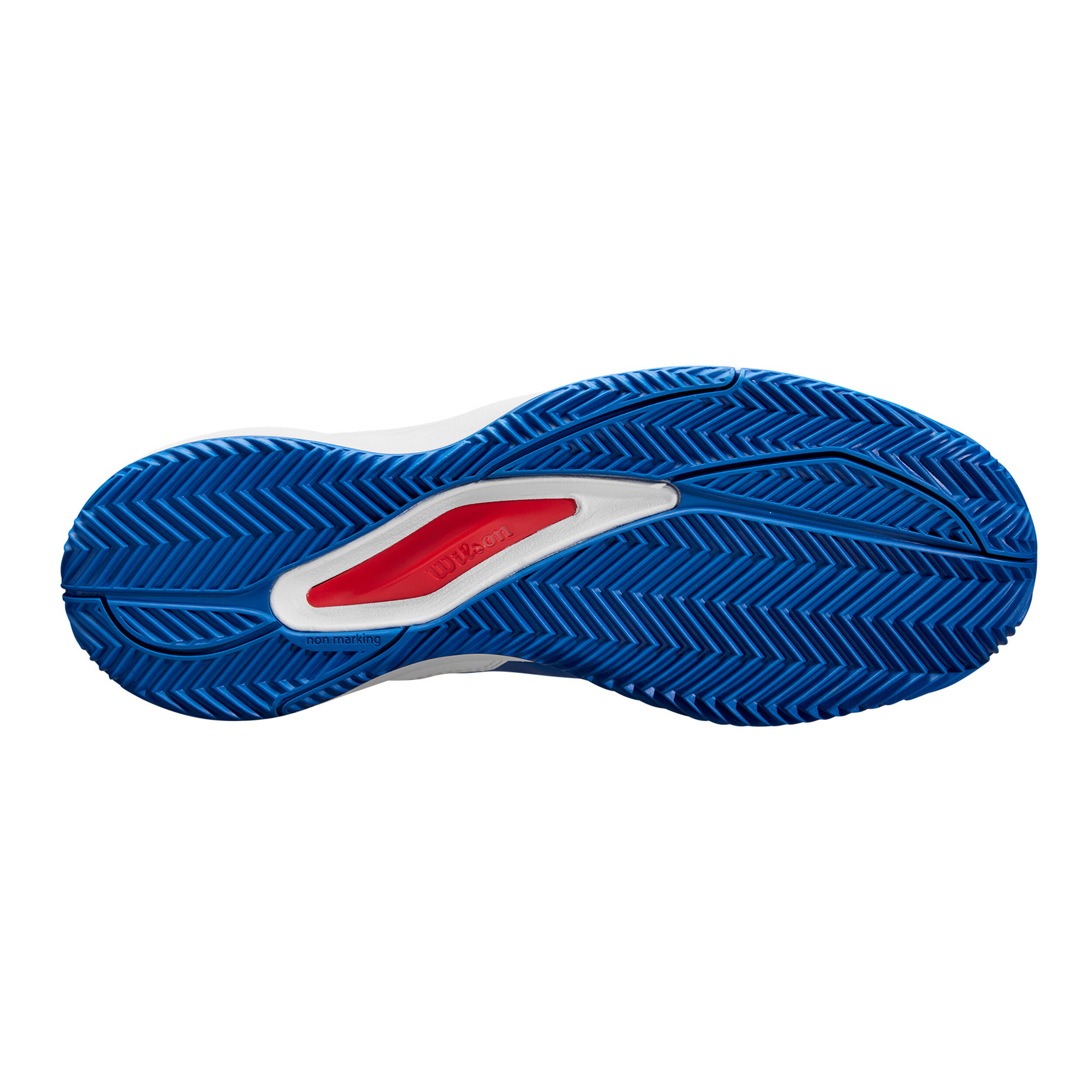 Wilson Rush Pro Ace Chaussure Terre Battue Hommes - Bleu