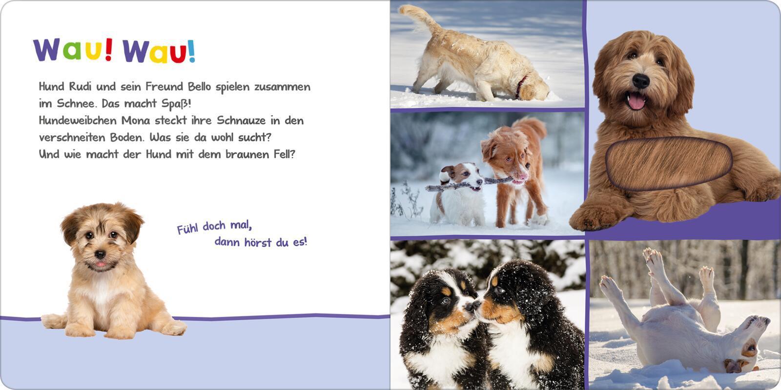 Hör mal rein, wer kann das sein? - Kleine Tiere im Schnee