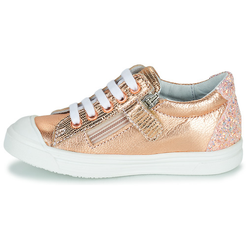 GBB - MATIA - Rose