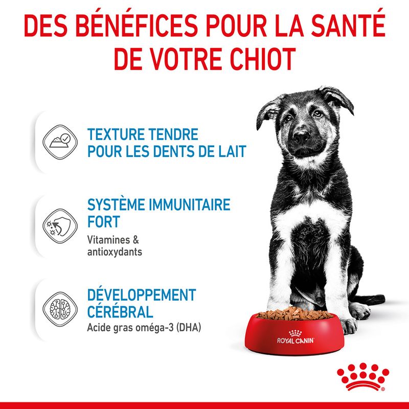 Royal Canin Maxi Puppy en sauce