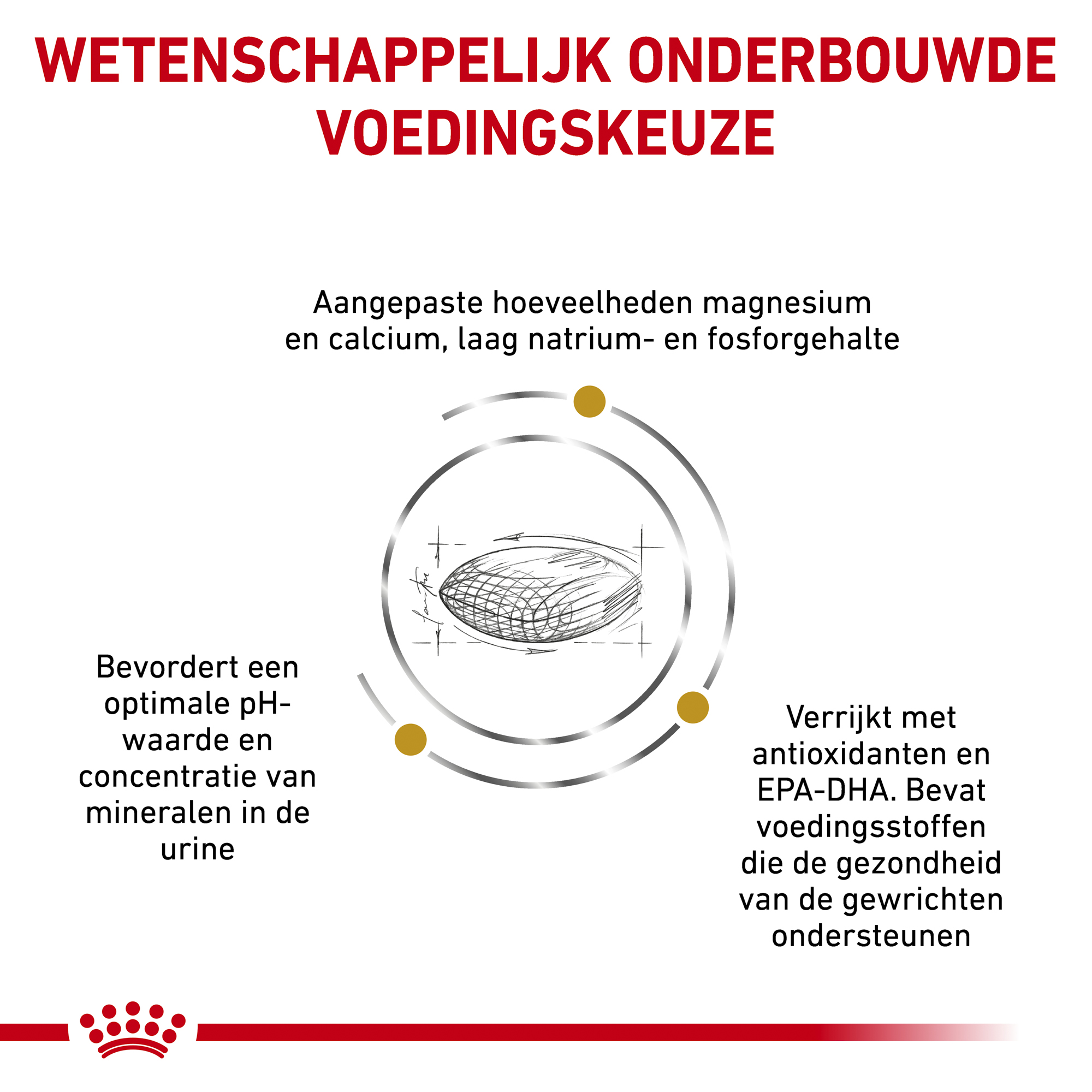 Royal Canin Urinary S/O Ageing 7+ Hond